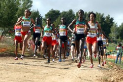 Meselech Melkamu, hier bei der Cross-WM vorne rechts, rannte eine sensationelle 10.000-m-Zeit in Utrecht. © www.photorun.net 