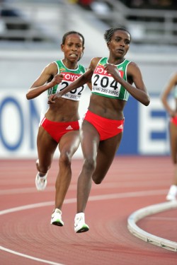 Hochspannung bis zum letzten Meter gibt es, wenn Meseret Defar und Tirunesh Dibaba (vorne) aufeinander treffen. © www.photorun.net