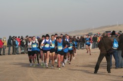 Auf dem Strand von Egmond kämpft die Spitzengruppe gegen den Wind. © Egmond-Halbmarathon / Veranstalter