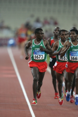 Sileshi Sihine (links) und Haile Gebrselassie (rechts) belegten in Hengelo die ersten beiden Ränge. © www.photorun.net