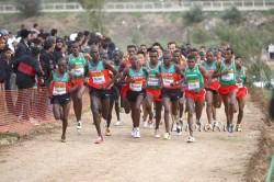 Afrikas Läufer haben einmal mehr alle Rennen bei den Cross-Weltmeisterschaften dominiert. © www.photorun.net