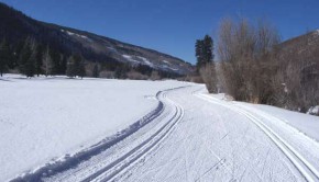 Skilanglauf: Eine willkommene Alternative für Winterspaß und Fitness