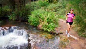 Laufen und Training an warmen Sommertagen